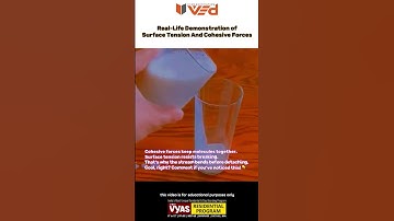 Surface Tension in Action 🌊 | Real-Life Demo of Cohesive Forces