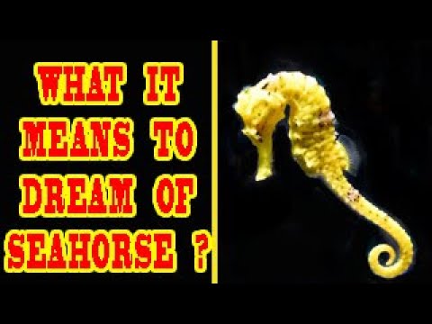 WHAT IT MEANS TO DREAM OF SEAHORSE ?