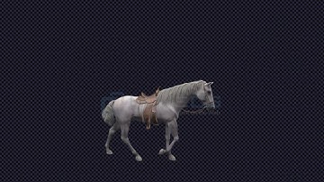 White Horse Walk Animation