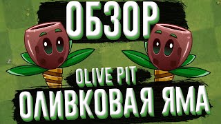 Обзор оливковой ямы (Olive Pit), растение из Plants vs Zombies 2