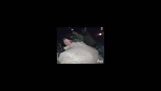 Mamino anche by funny mustach man/ Mamino anche ot Smeshniq mustak