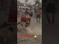 ਹੁਣ ਆਇਆ ਸਵਾਦ 😳🦬|top kabaddi stop|kabaddi match live #kabaddi #shorts #kabaddi365 #short #viral