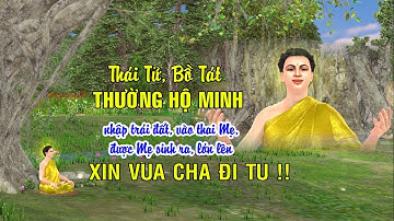 Tuyệt đẹp! Thái Tử Tất Đạt Đa xin vua cha đi tu - phim 4K | NDLC