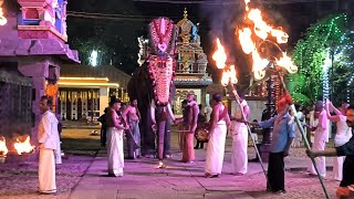 Elephant in Kerala temple video 206????shailpoints spritual devotional prayer travel elephant