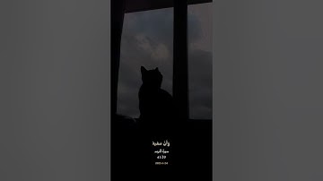 -سوره النجم- #عبدالرحمن_مسعد #قرآن