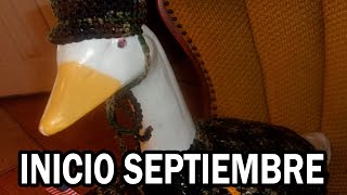 Shitposting Compilation v122 | Shitpost Español