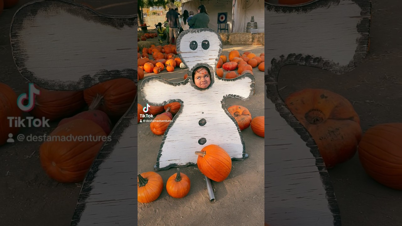 Pumpkin Patch fun 😂