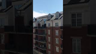 S1 Floorplan #604 (571 sq ft) 0 Bed / 1 Bath Studio - The VUE Charlotte