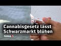 Hamburger Richterverein sieht große Lücken in Cannabis-Legalisierung