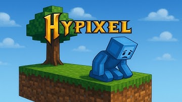 The Hypixel Skyblock experience in 2025..