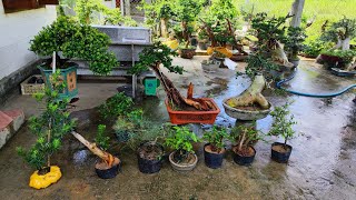 At Noon On June 3rd zalo 0983733063 Hai Chau Cu Duoi Trac Nghe Phi Lao Sung Son Lieu C