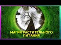 Магия Растительного Питания. Гость эфира: Катерина Иноземцева