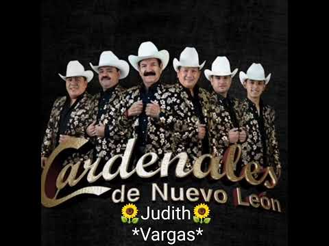 Cardenales De Nuevo León MIX:🎶