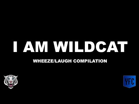 i-am-wildcat-laughing/wheezing-compilation---best-of-i-am-wildcat