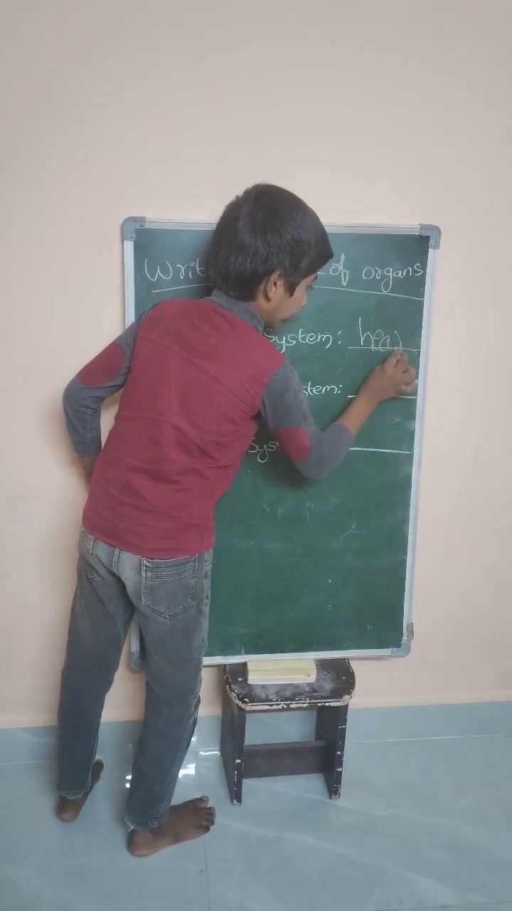 Names Of Organ Systems nehrunagar tutions khammam students Names Of Organ Systems nehrunagar tutions khammam students