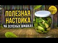 Мегаполезная настойка на ЗЕЛЕНЫХ ШИШКАХ.  Рецепт и как сделать.