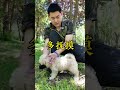 Training dogs to strengthen their courage through the three-character sutra#Dog trainer