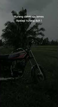 #storywa #Rxking #sad Story WA RX Special Terbaru...