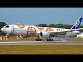 Top 30 "BIG SPECIAL LIVERY" Landings & Take-Off