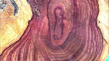 GL 2 cục cẩm chỉ krôngpa đặc tịt 38kg đục tiện đều víp giá lh0338918991 thương gỗ quý