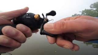 Rattle traps and Carolina Rigs on the Warrior River.