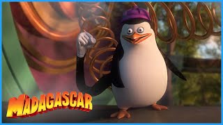 DreamWorks Madagascar | The best of Private | Penguins of Madagascar