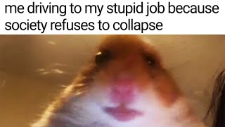 Raboringdystopia I Hate Living In A Society