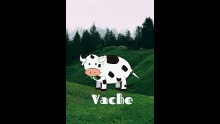 Les Ani̇mauxfransızca Hayvanlar