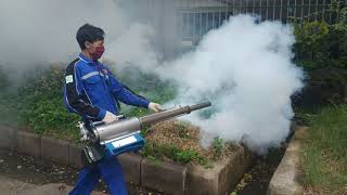 FOGGING NYAMUK, CEGAH PENYEBARAN AEDES AEGYPTI