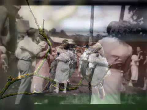 在 YouTube 上观看 Les Compagnons de la Chanson -  Bras dessus, bras dessous