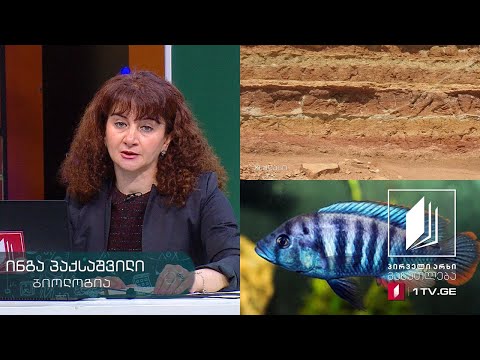 ბიოლოგია, XI კლასი - მიკროევოლუცია და მაკროევოლუცია #ტელესკოლა