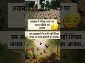 ye esan kisi ko nhi jine dete hai##chad pesekeliye 😔Video 📹