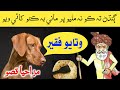 Watayo Faqeer Ki Kahani Sindhi Kahani Sindhi Funny Videos Watayo Faqeer Funny Stories Watayo Faqeer Ki Kahani Sindhi Kahani Sindhi Funny Videos Watayo Faqeer Funny Stories