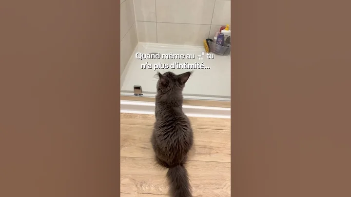 Watch the video about Je n&rsquo;ai plus d&rsquo;intimit&eacute; !