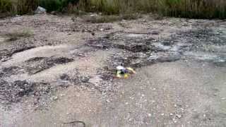 DIY MultiWii Quadcopter test