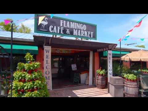 Flamingo Road Nursery Introduction - YouTube