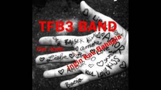 Ingin Kau Bahagia -TFB3 Band ( video lyrics)