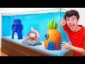 Best Fish Tank Win 1 000 Best Fish Tank Win 1 000