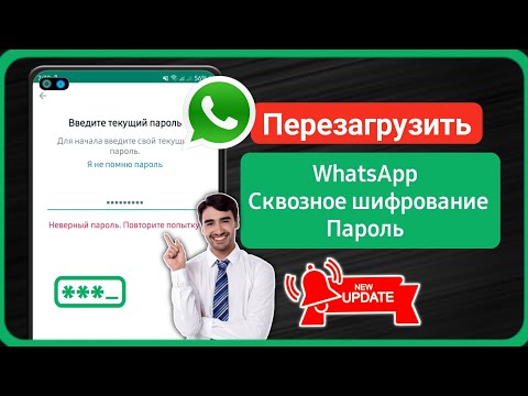 Как сбросить зашифрованный пароль WhatsApp (новинка) | Восстановить зашифрованный пароль WhatsApp
