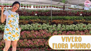 Tour por el vivero más grande de MÉXICO ¡Enloqueciendo de lo lindo! │Candy Bu