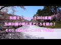 弘前さくらまつり2024直前　弘前公園の桜の見どころを紹介！　その1（追手門～二の丸 下乗橋）　Introductionthe highlights of Hirosaki Park Part 1