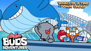 Whale Watching Chaos Down Under + More | AirAsia Buds Adventures ✈️🌏 | Cartoons for Kids & Parents