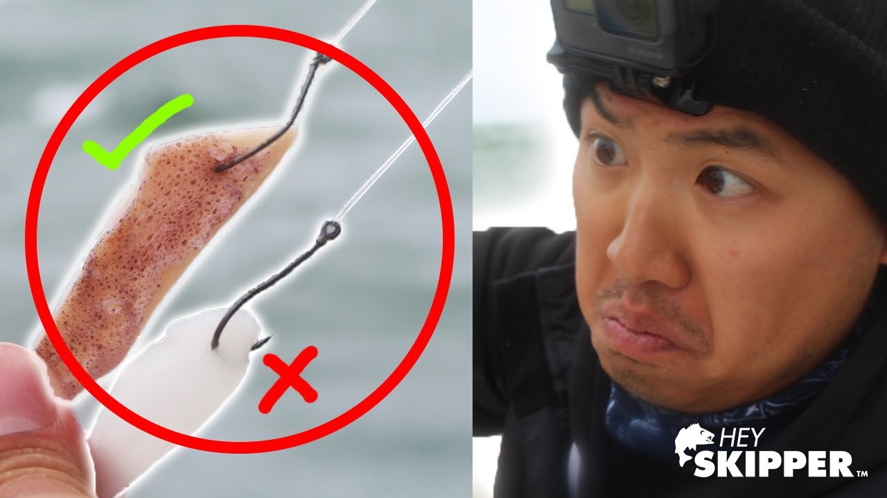 BAIT VS LURES: Which works best? Saltwater Fishing Experiment