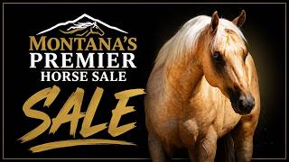 LIVE SALE | Montana's Premier Horse Sale 2026 | Saturday, July 11 | Big Sky Arena