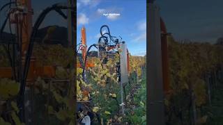 Pruning Machine With Camera Based Automatic Opening System || Made By Ero Gmbh Germany || #Shorts