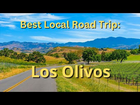 Best Local Road Trip: Los Olivos