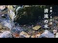 【睡眠用BGM】京都の秘境「るり渓」優しい清流のせせらぎでぐっすり眠れる【4K映像】