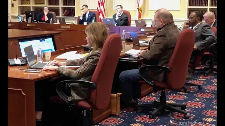 State Senate committee begins look at juvenile justice system