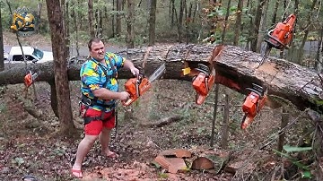 Idiots With Chainsaws: Tree Cutting Fails | Extreme Dangerous Logging Truck Fails #15