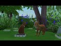 Thieving Vixen |Warrior Cats Sims 4 |Sunlit Echo ep7